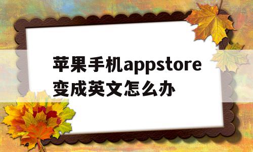 苹果手机appstore变成英文怎么办(苹果手机appstore变成英文了怎么办)