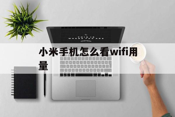 小米手机怎么看wifi用量(小米手机怎么查看wifi使用了多少流量)