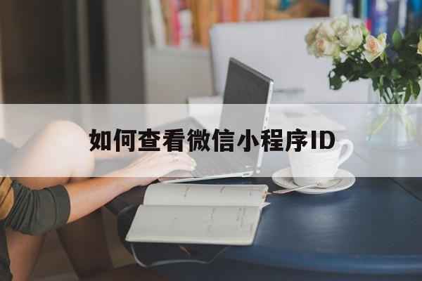 如何查看微信小程序ID(如何查看微信小程序ip地址),如何查看微信小程序ID(如何查看微信小程序ip地址),如何查看微信小程序ID,账号,微信,APP,第1张