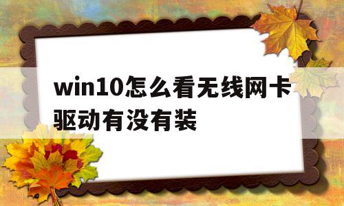 win10怎么看无线网卡驱动有没有装(怎么看win10网卡驱动是否正常),win10怎么看无线网卡驱动有没有装(怎么看win10网卡驱动是否正常),win10怎么看无线网卡驱动有没有装,第1张