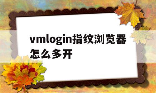 vmlogin指纹浏览器怎么多开(vm指纹浏览器一个 账号能登陆几个电脑候鸟浏览器)