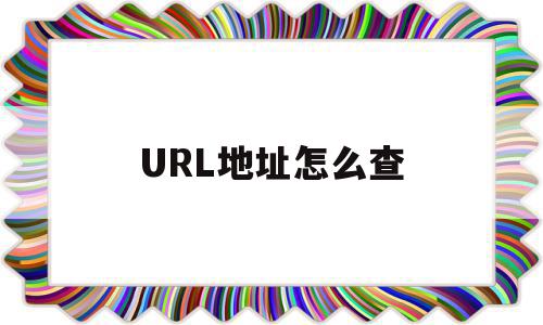 URL地址怎么查(服务器url地址怎么查)