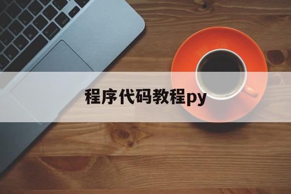 程序代码教程py(程序代码编写教程)