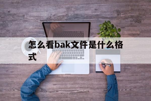 怎么看bak文件是什么格式(bak文件在哪)