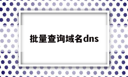 批量查询域名dns(批量查询域名对应ip),批量查询域名dns(批量查询域名对应ip),批量查询域名dns,信息,模板,第1张