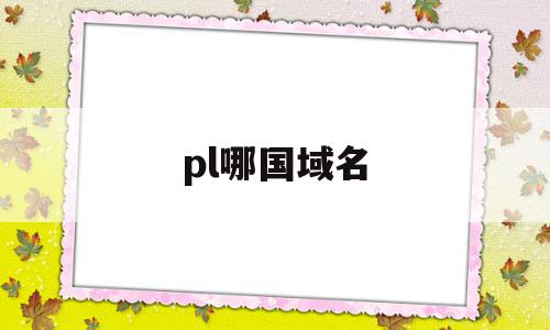 pl哪国域名(pro域名哪国的)