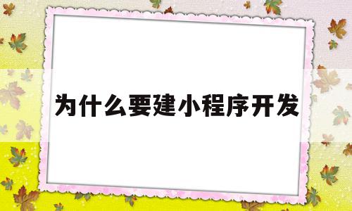 为什么要建小程序开发(为什么要做小程序)