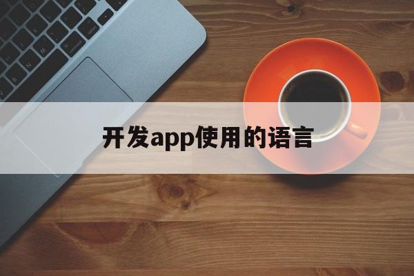 开发app使用的语言(app开发用到什么语言),开发app使用的语言(app开发用到什么语言),开发app使用的语言,APP,安卓,苹果,第1张