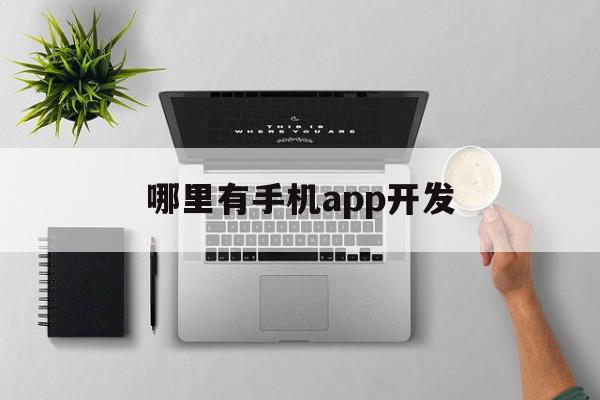 哪里有手机app开发(手机app开发平台哪个好)