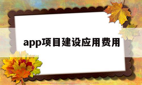 app项目建设应用费用(app设计费用具体经费预算)