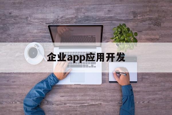 企业app应用开发(企业应用软件开发主要学什么)