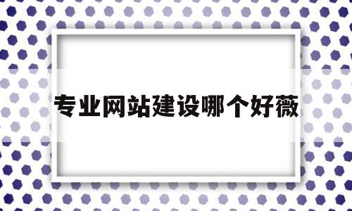 专业网站建设哪个好薇(专业网站建设公司需要做好哪些方面的工作)