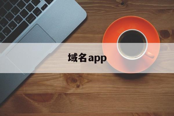 域名app(域名app黄页)