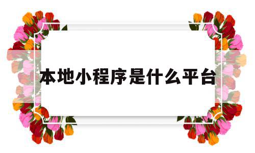 本地小程序是什么平台(本地小程序的推广方式)