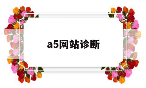 a5网站诊断(seo诊断a5)