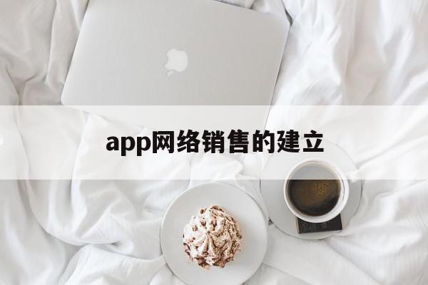 app网络销售的建立(app网络销售的建立和发展)