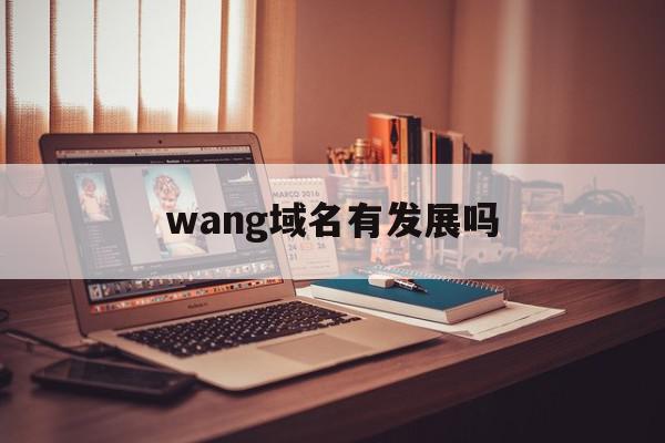 wang域名有发展吗(wang域名有哪些著名网站)