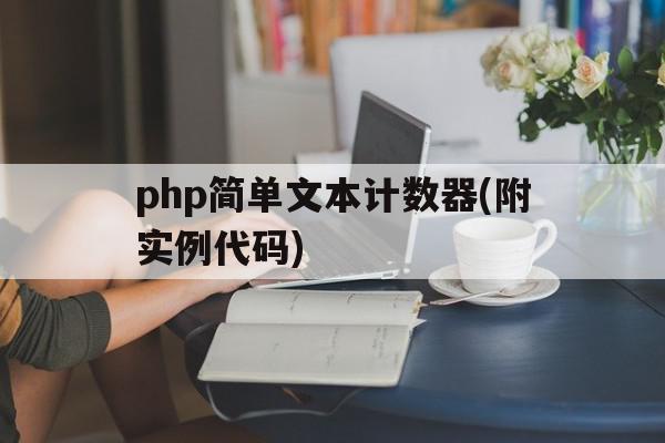 php简单文本计数器(附实例代码)的简单介绍