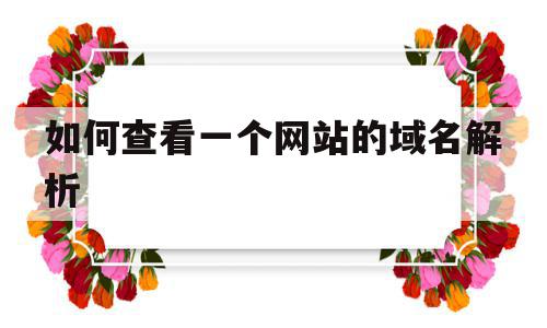 如何查看一个网站的域名解析(如何查看一个网站的域名解析信息)