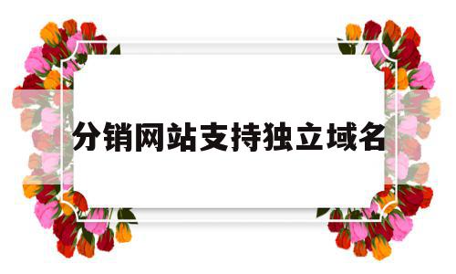 关于分销网站支持独立域名的信息,关于分销网站支持独立域名的信息,分销网站支持独立域名,信息,微信,模板,第1张