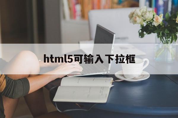 html5可输入下拉框(html 可输入的下拉框)