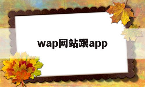 wap网站跟app(wap和app什么意思啊)