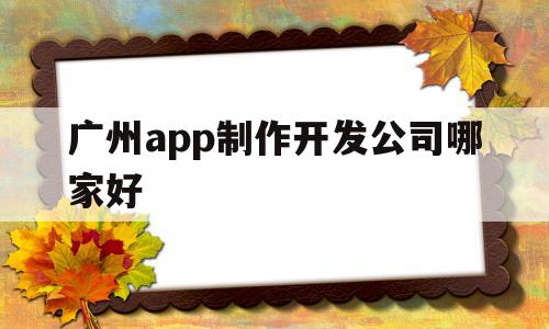 广州app制作开发公司哪家好(广州app制作开发公司哪家好一点)