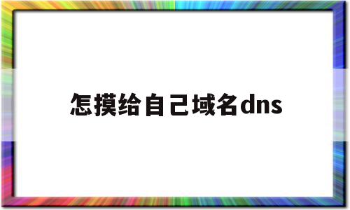 怎摸给自己域名dns(dns域名查询的两种方式)