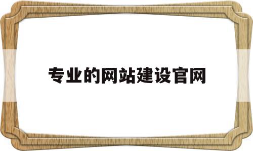 专业的网站建设官网的简单介绍