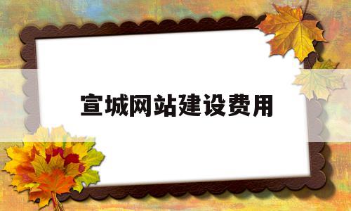 宣城网站建设费用(网站建设费计入什么科目)