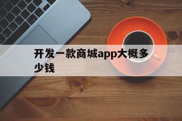 开发一款商城app大概多少钱(开发一款商城app软件需要多少钱)