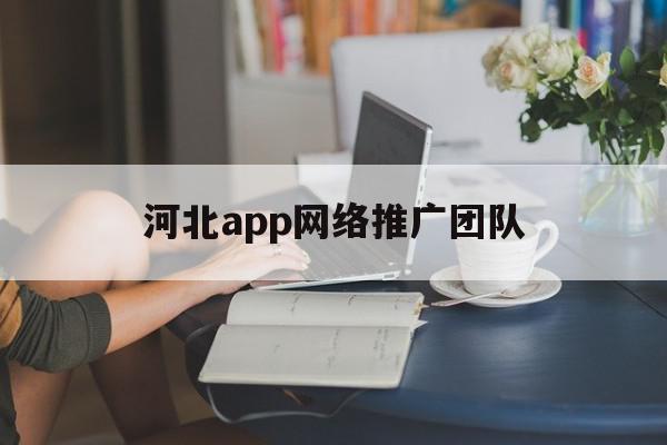 河北app网络推广团队(河北app网络推广团队怎么样)