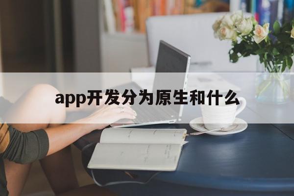 app开发分为原生和什么(app开发主要是哪两种模式),app开发分为原生和什么(app开发主要是哪两种模式),app开发分为原生和什么,APP,安卓,app,第1张