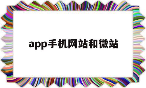 app手机网站和微站(手机微网站和门户网站的区别)