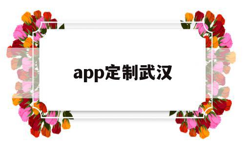 app定制武汉(武汉app定制开发)