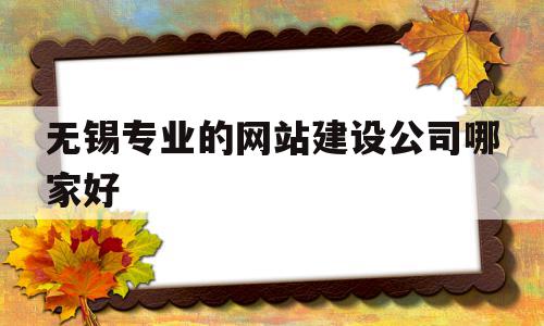 关于无锡专业的网站建设公司哪家好的信息,关于无锡专业的网站建设公司哪家好的信息,无锡专业的网站建设公司哪家好,信息,微信,营销,第1张