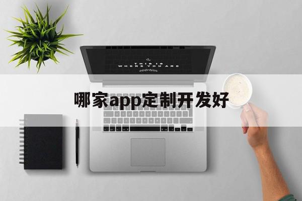 哪家app定制开发好(app定制开发哪家比较好)