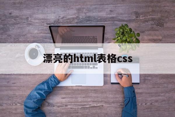 漂亮的html表格css(html css制作表格代码)