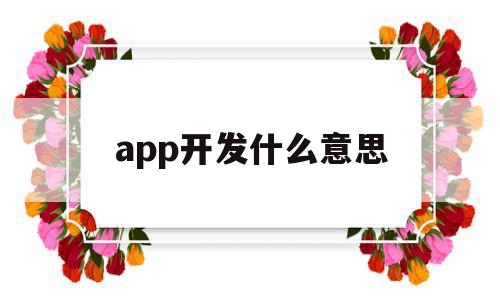 app开发什么意思(app开发完成后开发人员干什么)