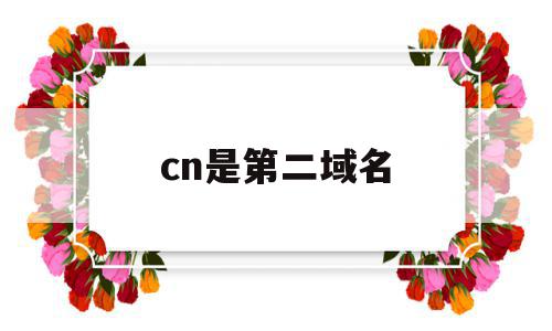 cn是第二域名(cn属于第几级域名)