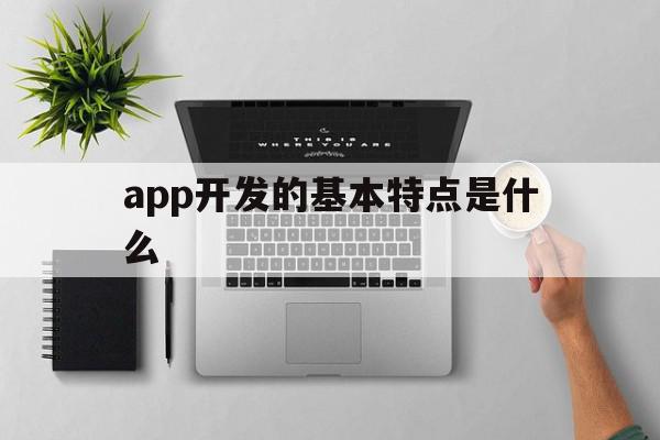 app开发的基本特点是什么(app开发都有哪些基本的开发语言)