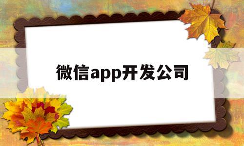 微信app开发公司(微信app开发公司有哪些)