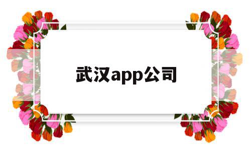 武汉app公司(武汉做app的公司)