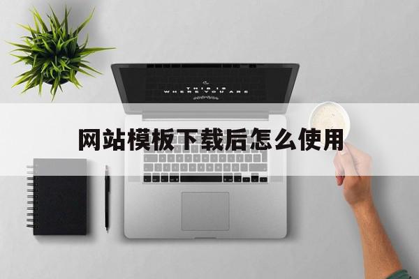 网站模板下载后怎么使用(网站模板下载后怎么使用文件)