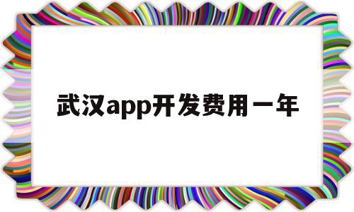 武汉app开发费用一年(武汉app开发费用一年多少)