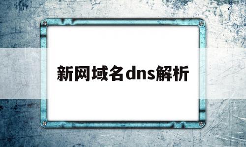 新网域名dns解析(新网域名dns解析异常)