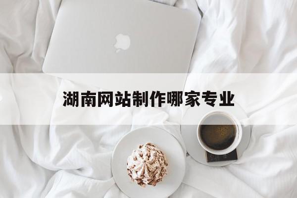 湖南网站制作哪家专业(湖南网站制作哪家专业公司好)