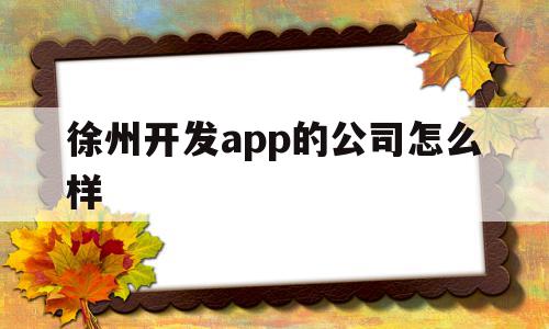 徐州开发app的公司怎么样(徐州开发app的公司怎么样啊)