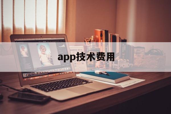 app技术费用(软件技术服务费怎么做账)