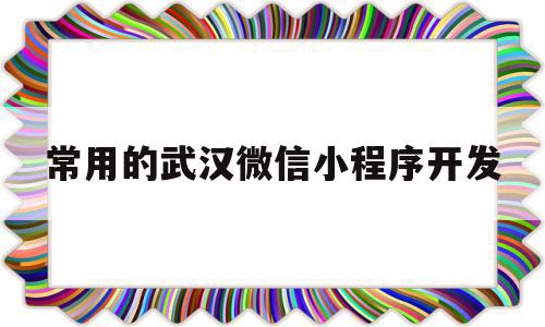 常用的武汉微信小程序开发(武汉微信小程序开发公司哪家好?)